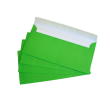 Конверты DL SKL с отрывной лентой 100 шт Зеленые 110 х 220 мм. (2240_3)